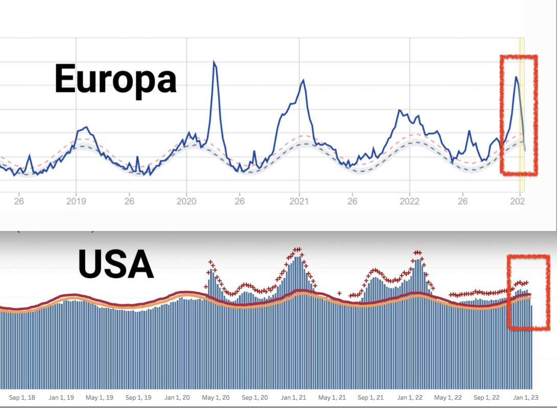 Screenshot fra euromomo og cdc